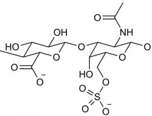 chondroïtine sulfate schema atomes